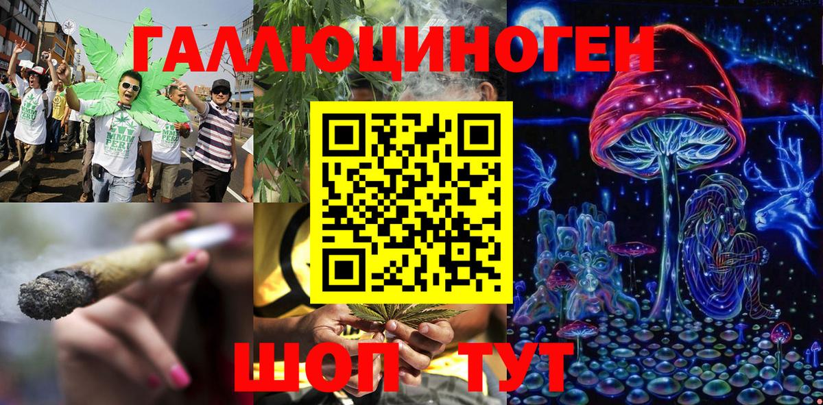 купить наркоту  Вход с VPN  Зеленогорск  Псилоцибиновые грибы Psilocybine cubensis 